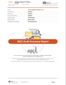 BSCI-Audit-Report